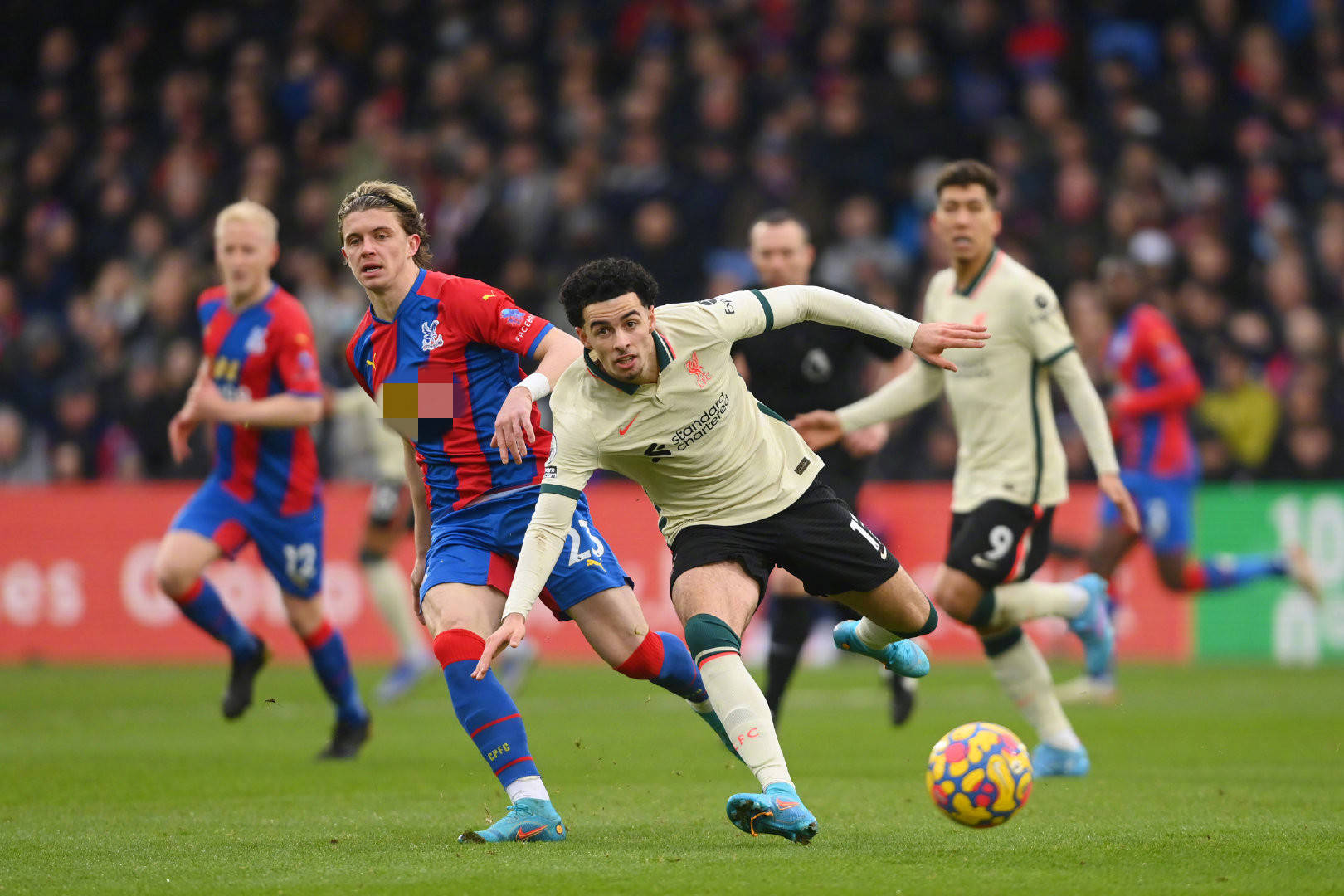 新军的爆发 新军的爆发