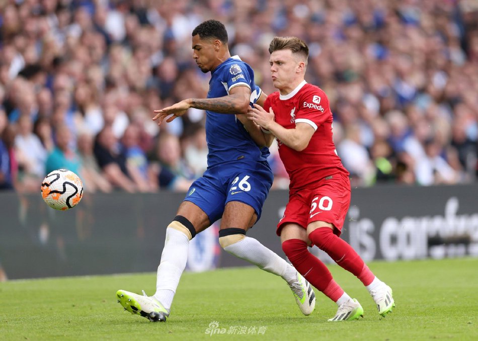 推动这项战 推动这项战